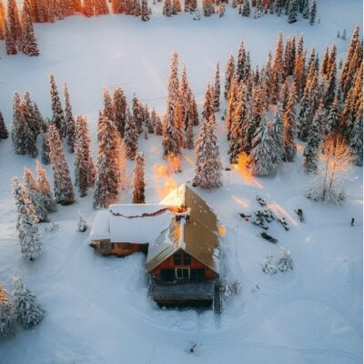 A house and trees covered in snow