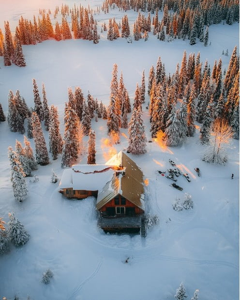 A house and trees covered in snow