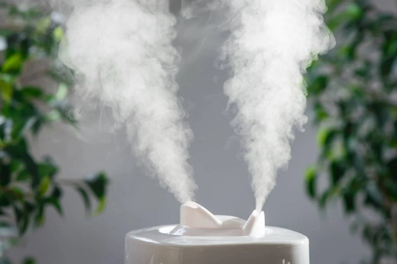 Pets breathe better with the air purifier for pets